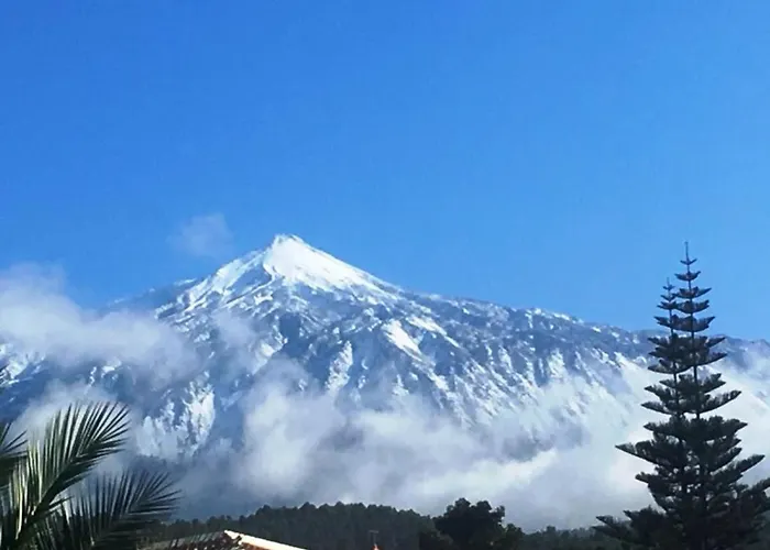 芬卡圣巴勃罗伊科德洛比诺斯度假屋 *