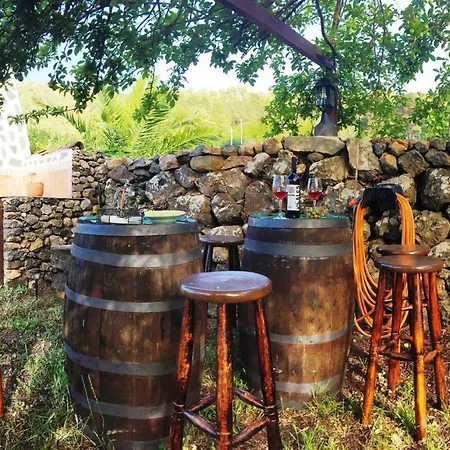 Fsp Nyaraló *