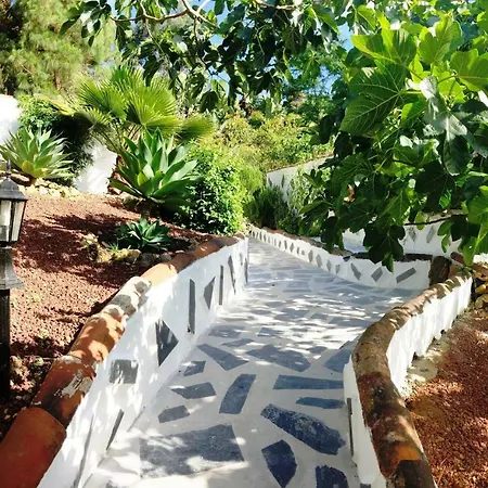 Nyaraló Fsp