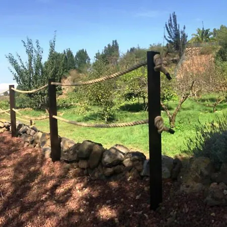 Fsp